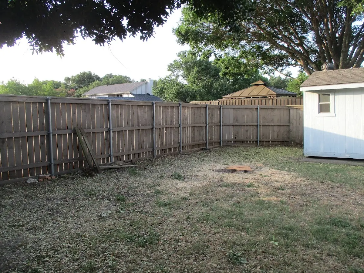 Cleared yard after professional tree removal in Kew Gardens
