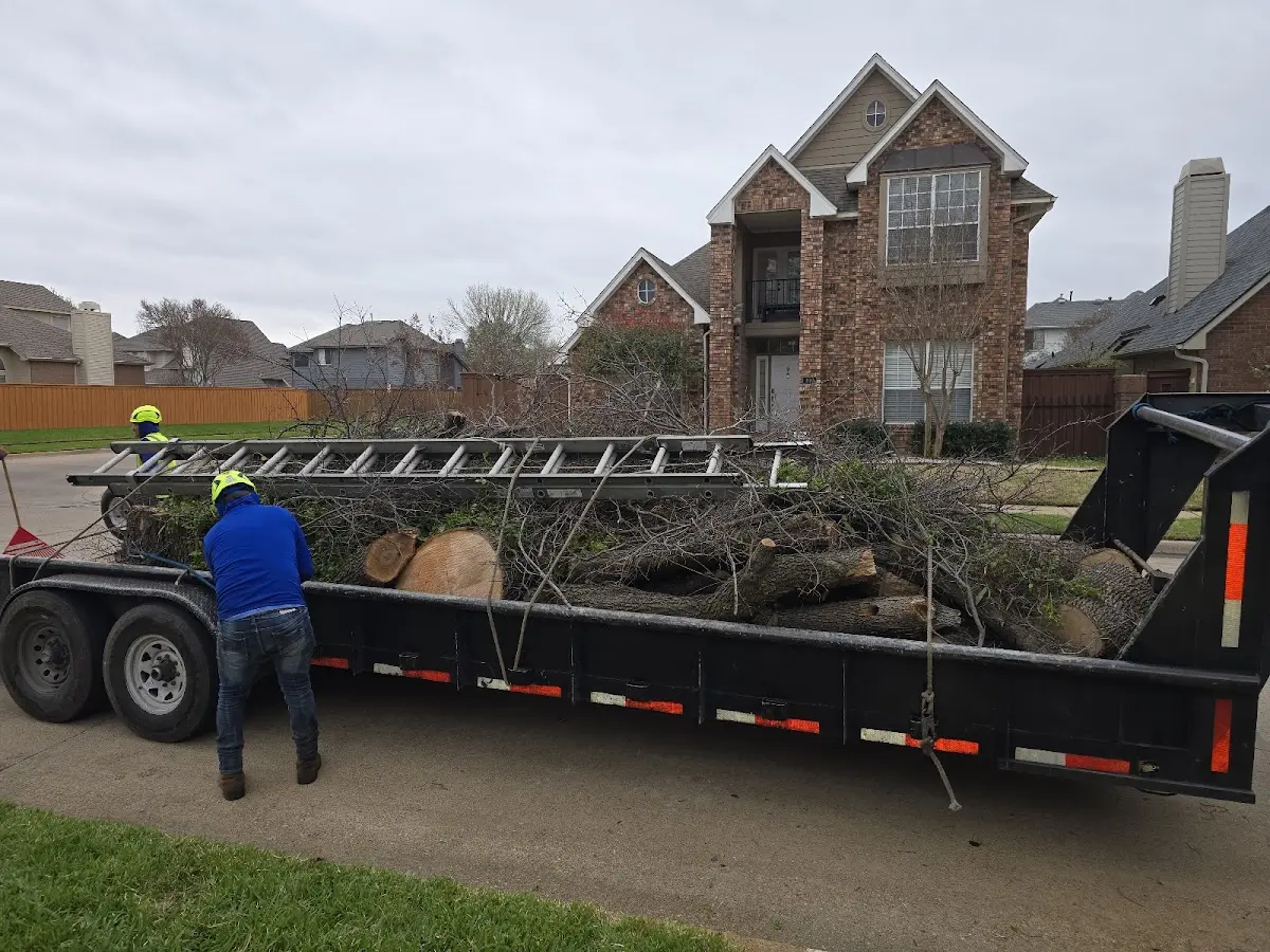 Expert Tree Pest Control with proper safety equipment in Kew Gardens